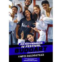 Logo of IV FESTIVAL BUDOART CALI 2025