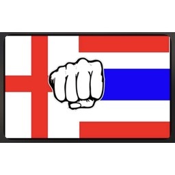 Thaifist Muay thai