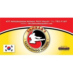 Sankar's Taekwondo School