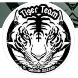 Tiger Team