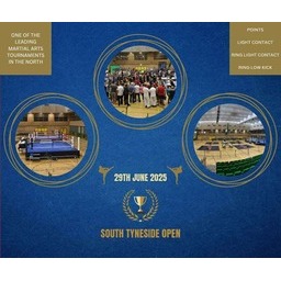 Logo of SOUTH TYNESIDE OPEN (STO) 2026