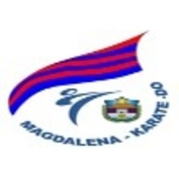 Logo of COPA CIUDAD DE SANTA MARTA