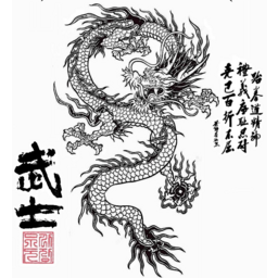 Mireu Martial Arts USA