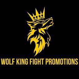 Logo of Battle of the North 11