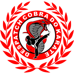 COBRA DO KARATE