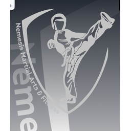Nemesis Martial Arts & Fitness