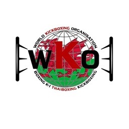 WKO TEAM WALES