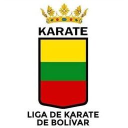 Liga de Karate de Bolivar