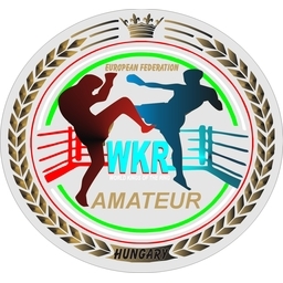 Logo of KINGS OF THE RING IV. Amateur Union European International Championships