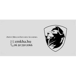 Zrínyi Miklós Kick Box Akadémia