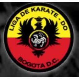 Logo of FESTIVAL - COPA DE NAVIDAD -2025