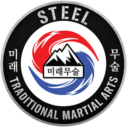 Steel Traditional Martial Arts & Wellness