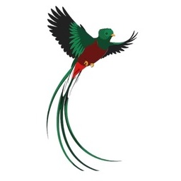 Logo of Campeonato Nacional de Karate Asunción 2026 (prueba)