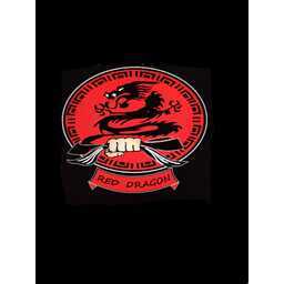 Red Dragon Kickboxing