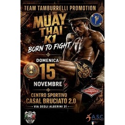Logo of Born to fight