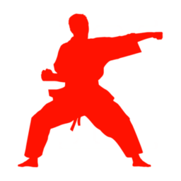 Silvas Freefighting Martial Arts