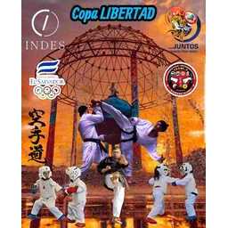 Logo of Copa Libertad 2026